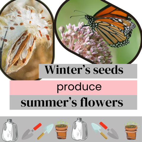 Text Winter Seeds Produce Summer Flowers