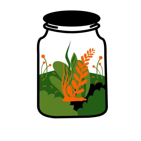Plants growing in a wide-mouthed jar.