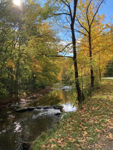 Montour Trail during the fall near Peters Creek