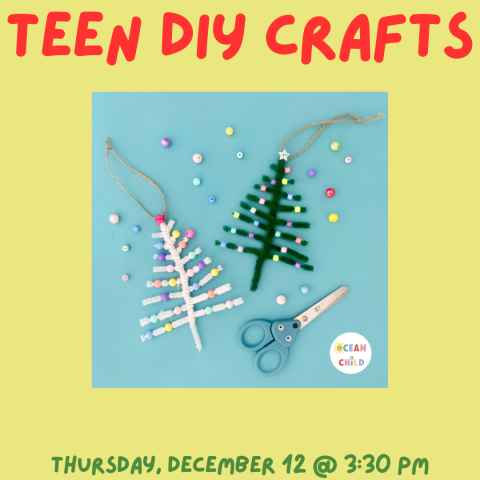 Teen DIY Drop-In Crafts. Thursday, December 12 at 3:30 pm