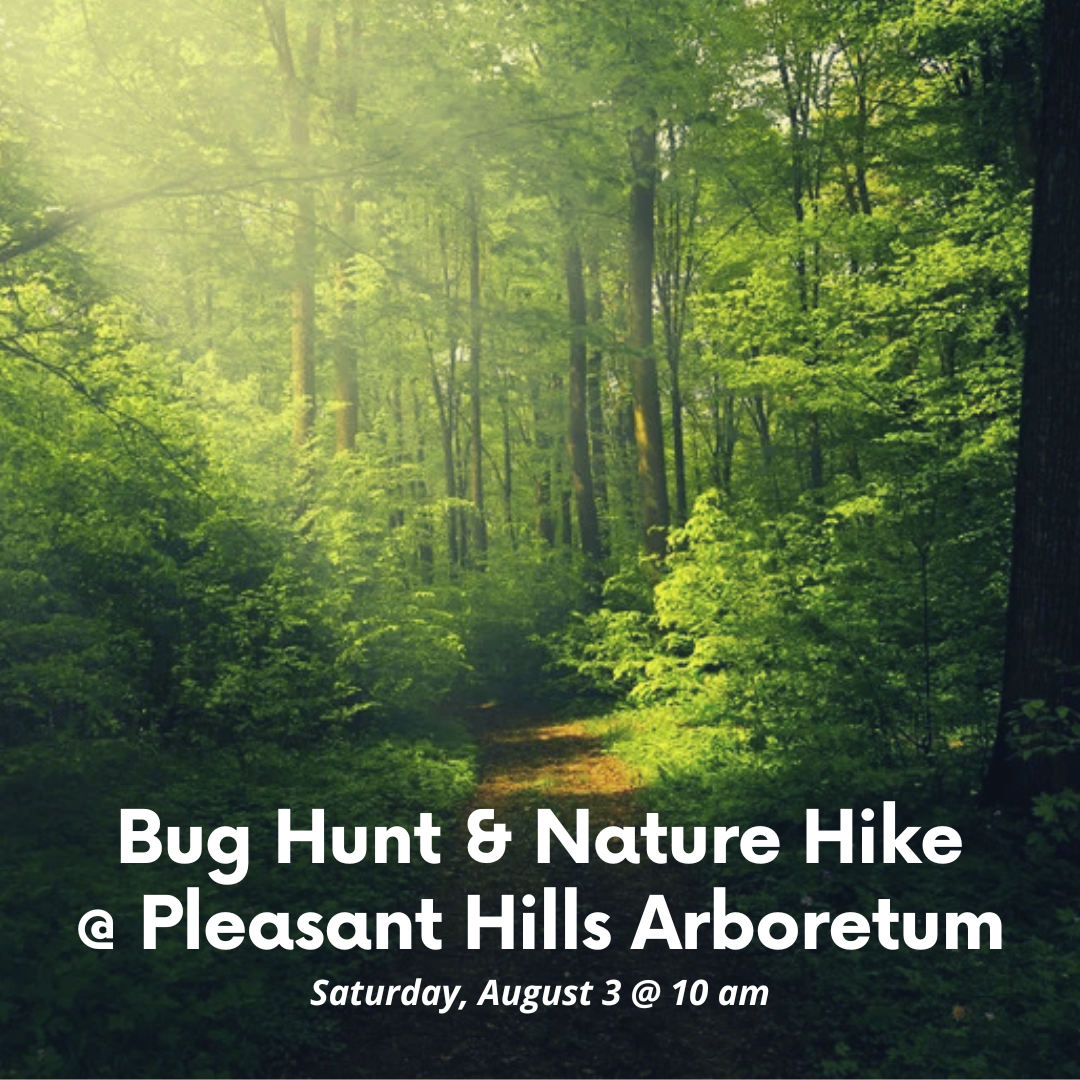 Bug Hunt and Nature Hike at Pleasant Hills Arboretum. Saturday, August 3 at 10 am.