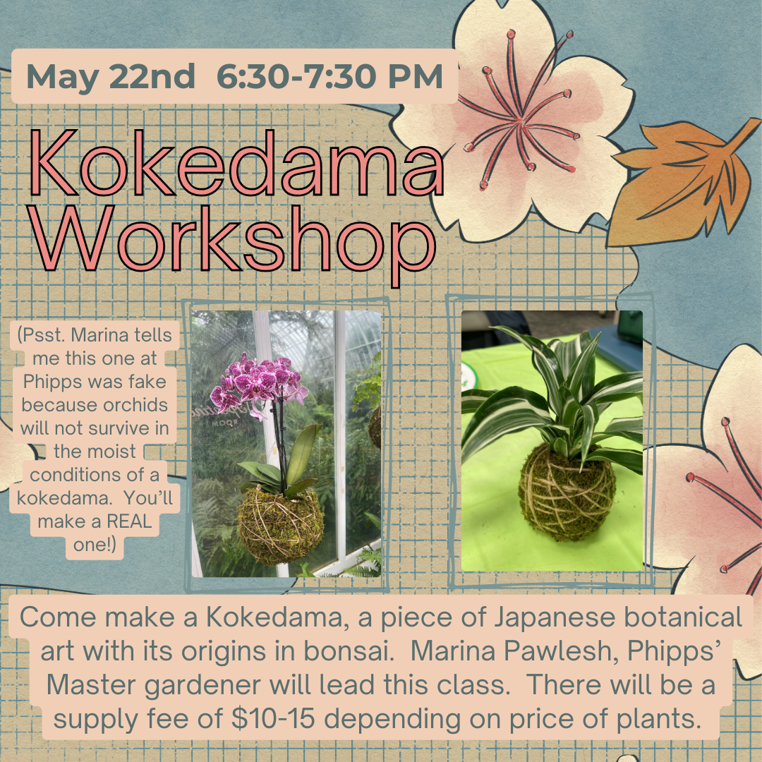 Kokedama Workshop