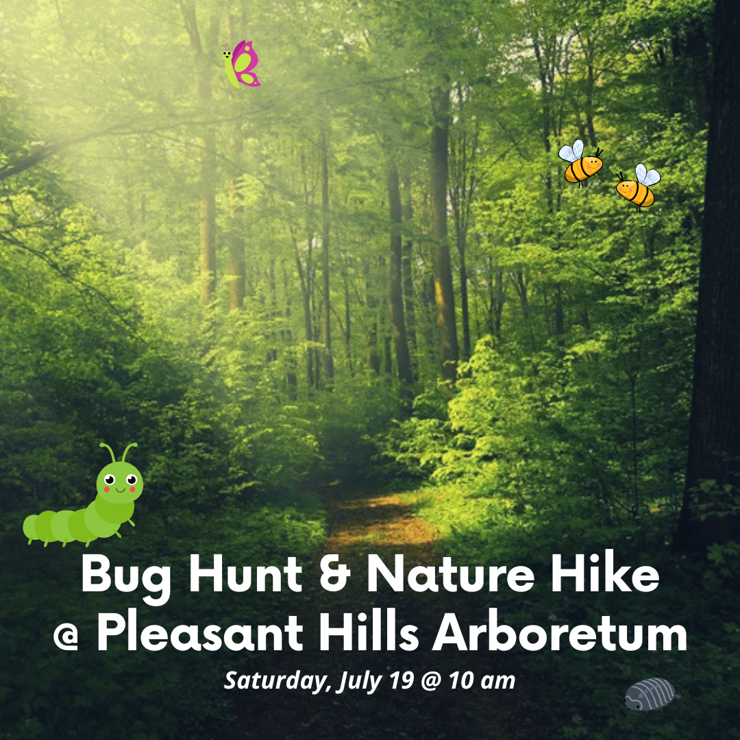 Bug Hunt and Nature Hike at Pleasant Hills Arboretum. Saturday, July 19 at 10 am.
