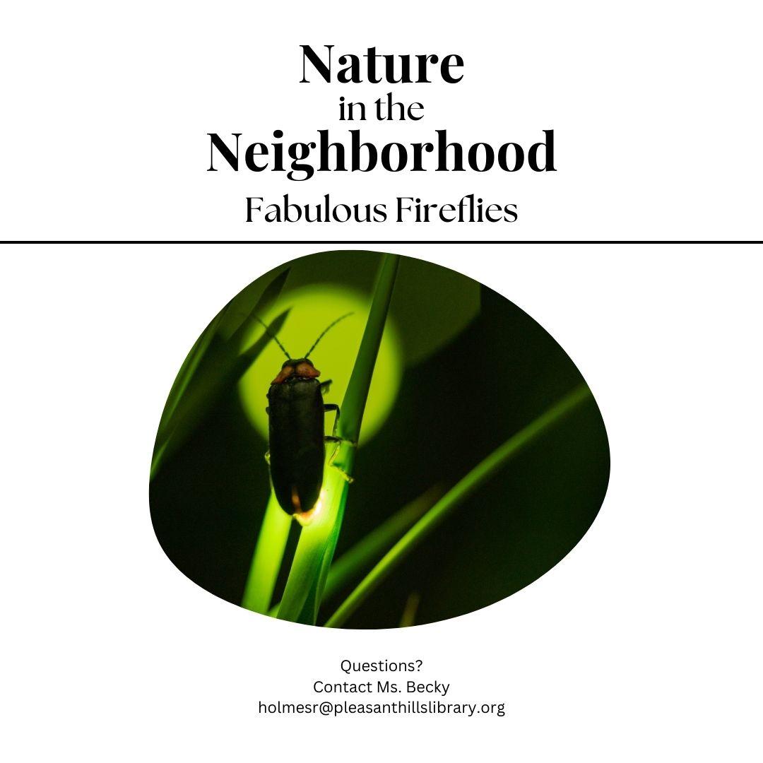 A firefly is silhouetted with a green glow on a leaf 