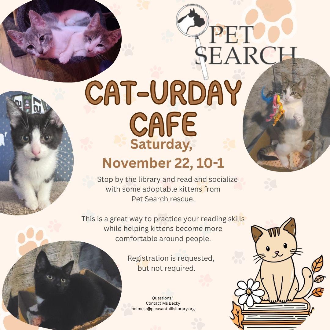 Pictures of 6 kittens on a background with pawprints.